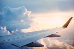 Domestic Flights
